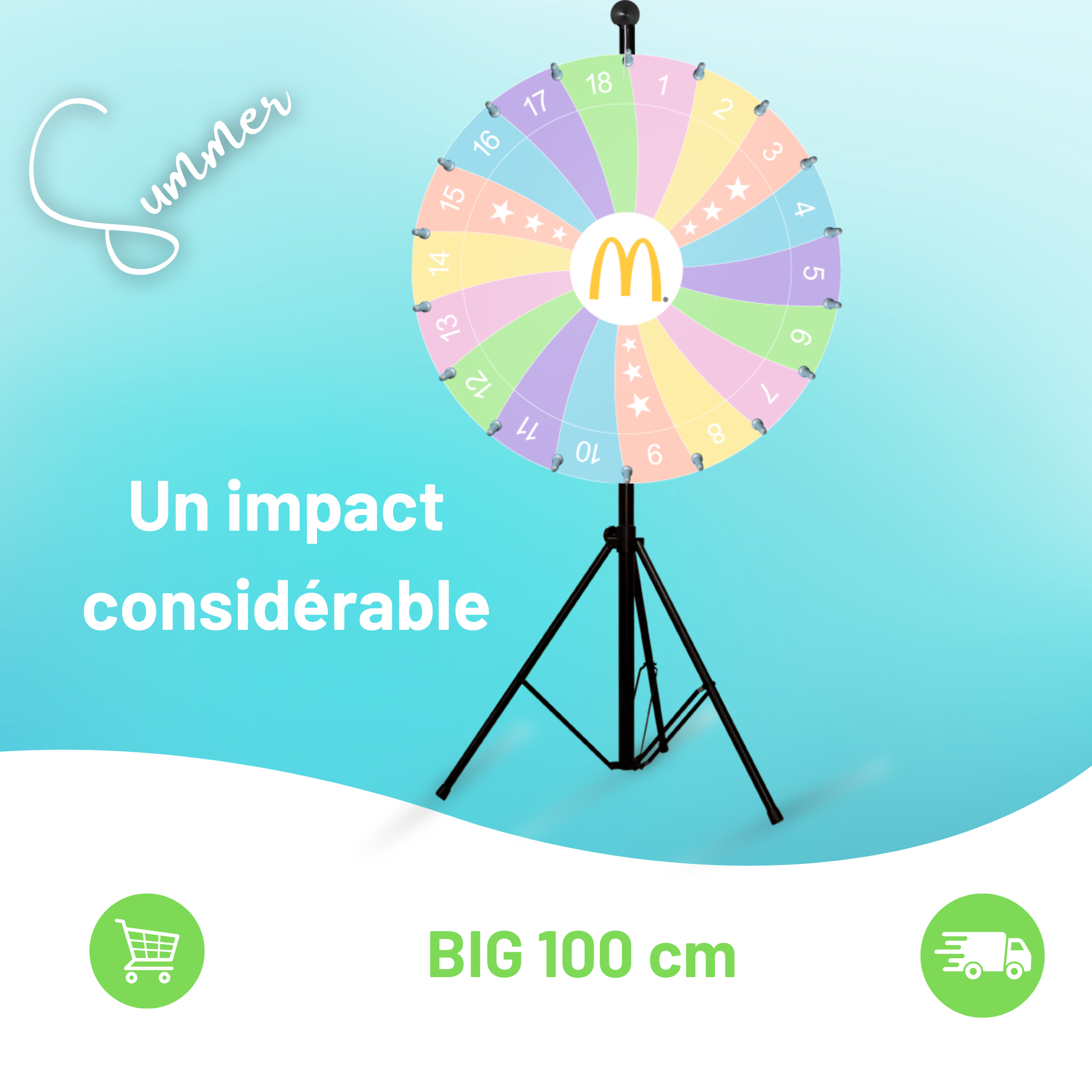 Roue de la fortune Professional